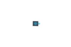 Official Samsung Galaxy A14 4G SM-A145R Ear Speaker Module - GH81-23528A