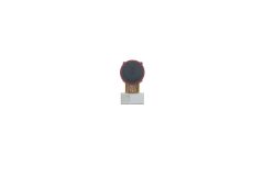 Official Samsung Galaxy A14 4G SM-A145R 5MPixel Rear Camera Module -GH81-23519A