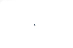 Official Huawei P40 Lite JNY-L21A / JNY-LX1 1.4mm x 2.5mm x 2.5mm x 0.5mm Screw - 51627806