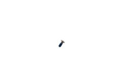 Official Samsung Galaxy S10E G970, Galaxy S10 G973, Galaxy S10+ G975 Silver Screw - 6001-003360