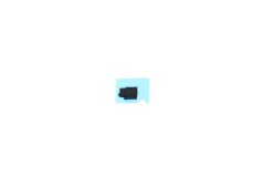 Genuine Google Pixel G-2PW4200, Pixel XL G-2PW2200 Main Microphone Support - 74H03235-00M