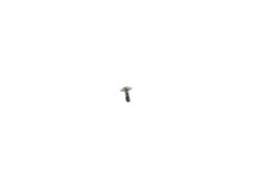 Official Google Pixel 6 Pro M1.2, R4 Screw - G250-05752-00