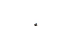 Official Google Pixel 6 Pro Display Screw - G250-06026-00
